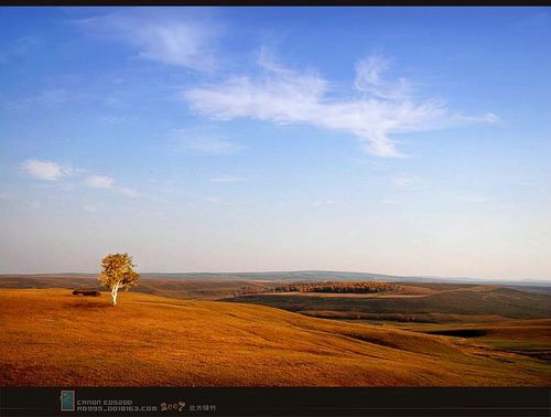 坝上草原塞外秋色 牛羊如云骏马奔腾_数码