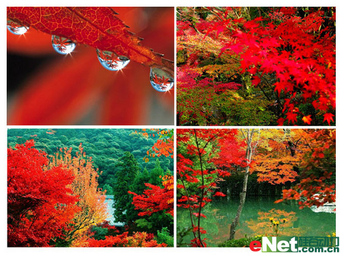 ���Ǻ�Ҷ����ʱLexar133XCF������