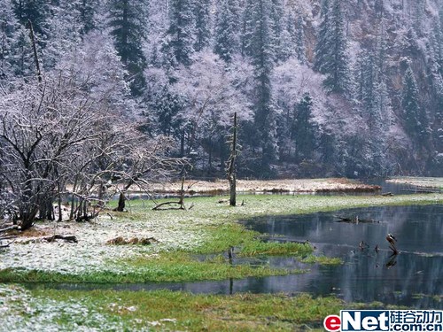 Ҫ�������鿴��ֵ�ù���ľ�ѡDC����