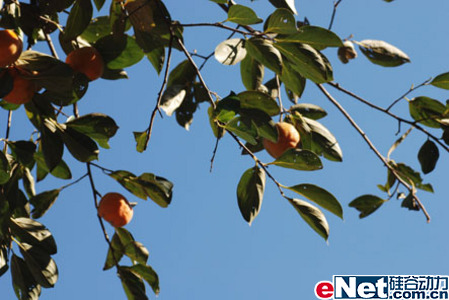 11.11ǰ��ٳ���ZARVAΪ���������