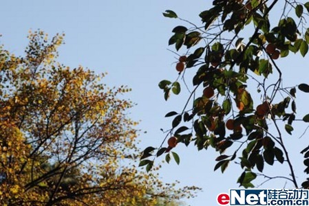 11.11ǰ��ٳ���ZARVAΪ���������