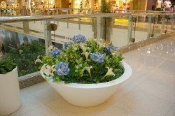 SR뵥K100DƬ
