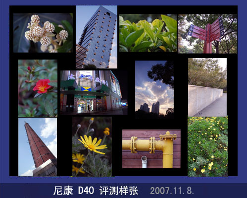 ˭��ʵ�ݱ���K100DSuper�Ծ��῵D40
