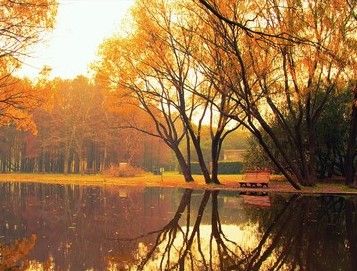 拍摄技巧_数码相机