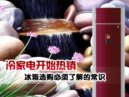 ����ѡ�������˽�ĳ�ʶ