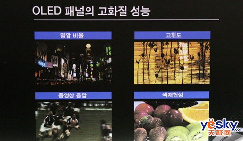 KES2007:����չʾ3mm����OLEDҺ������