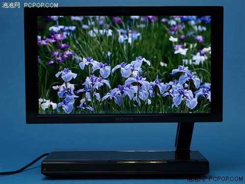 ��ֽ�տ�����δ��ƽ�巢չ����Ԥ��(5)