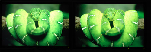 广色域确实牛 戴尔新旧2407对比测试_硬件