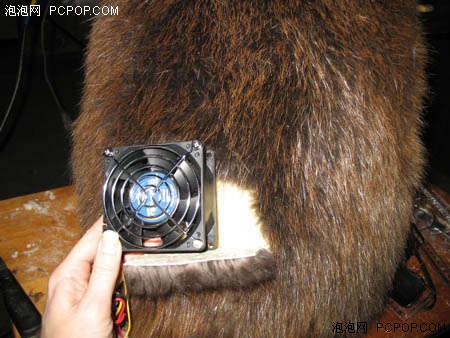 18禁!考验心理承受能力看海狸鼠变PC_硬件