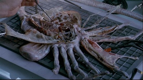 《变形金刚》入选!十大科幻电影推荐_硬件