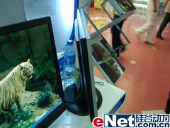 ӵ1499ԪӵTopviewT191WDҺ