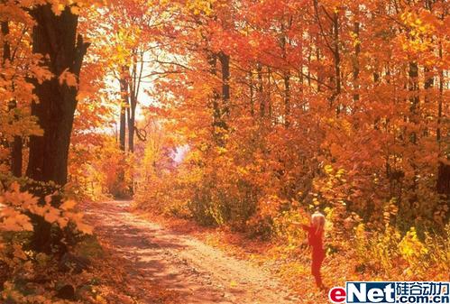 九九艳阳天 看超值主板组拼婚车队_硬件