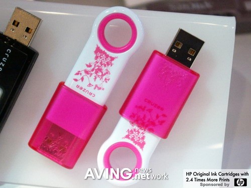 IFA2007��Sandiskչ���¿��������