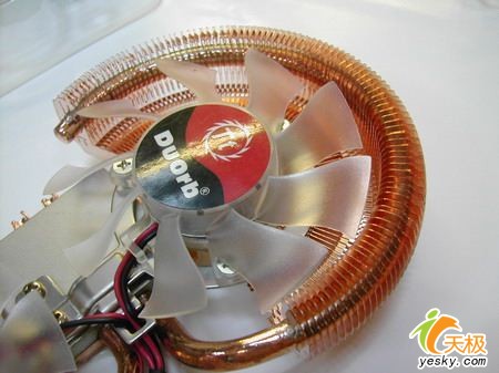 �ּ������Tt����˫�����Կ�ɢ������