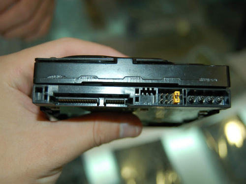 售价340元 西部数据80G串口硬盘火爆热卖_硬