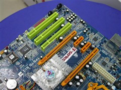 �ں�5000+����������Ƶ���嵼��