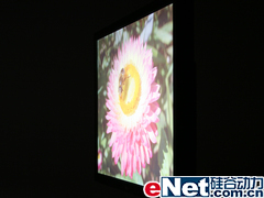 ������5000:1����LG194WT�Ա�����