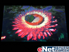 ������5000:1����LG194WT�Ա�����