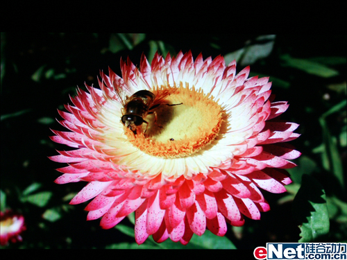 ������5000:1����LG194WT�Ա�����