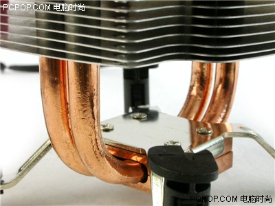 ����Ҳ�֪��������ɢ����20�귢չʷ