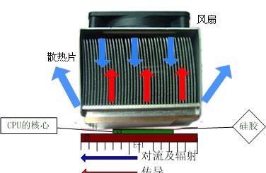 ����Ҳ�֪��������ɢ����20�귢չʷ