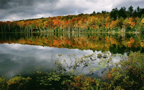 1680��1050����������������ֽ����