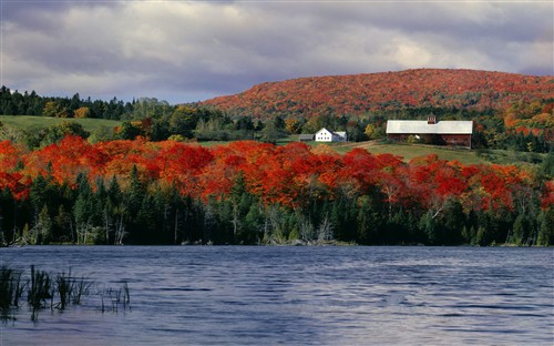 1680��1050����������������ֽ����