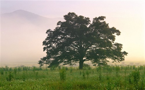 1680��1050����������������ֽ����