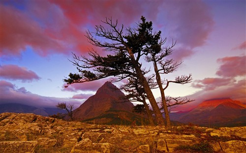 1680��1050����������������ֽ����