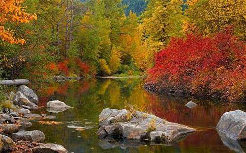 1680��1050����������������ֽ����