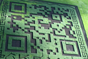 ũֳȫά룺ôɨ