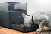 Pintofeed˲ڼιʳ