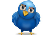 InstaTwitInstagramTwitterƾԲ