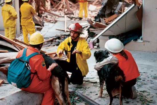 1989年美国洛玛普里埃塔地震后,搜救人员和搜救犬正在加利福尼亚州的圣克鲁斯购物中心展开营救工作,寻找一家坍塌的百货公司废墟里是否有幸存者。圣克鲁斯距离震中约16千米。 1989年美国洛玛普里埃塔地震后,搜救人员和搜救犬正在加利福尼亚州的圣克鲁斯购物中心展开营救工作,寻找一家坍塌的百货公司废墟里是否有幸存者。圣克鲁斯距离震中约16千米。