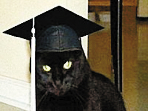 黑猫科比的毕业照。这只黑猫获得了美国得克萨斯州“三一南方大学”的工商管理学士学位。