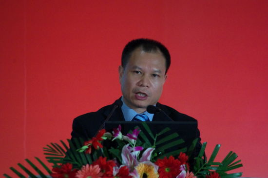 工业和信息化部软件服务业司司长 陈伟