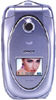 CECT S857