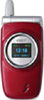 CECT Q389