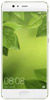Ϊ P10