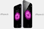 ƻ��Ѻ�Ա�������iPhone��������������