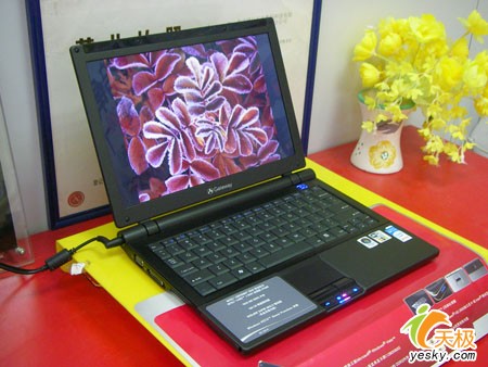 21日行情:顶级迅四DX10游戏本惊爆低价_笔记