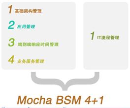 ֪ʶ⣺BSM