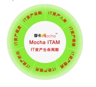 ܹITʲ