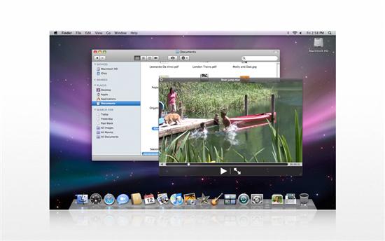 300�����¹���AppleLeopard�й������