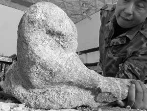 内蒙古二连巨盗龙登上《自然》杂志网站首页