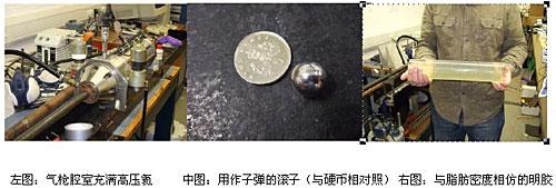 趣味实验:人体脂肪得多厚才能挡住子弹(图)