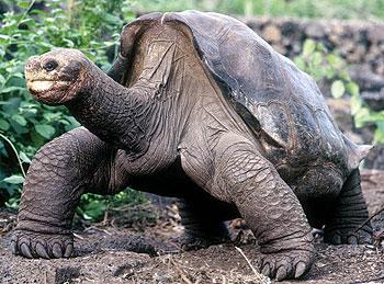 ȫ���һ�޶��޹����������������(ͼ)