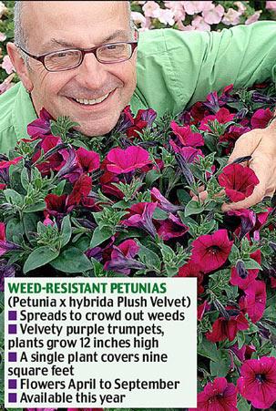 Ӣ����ѧ���Ƴ����ý���Ļ���(ͼ)