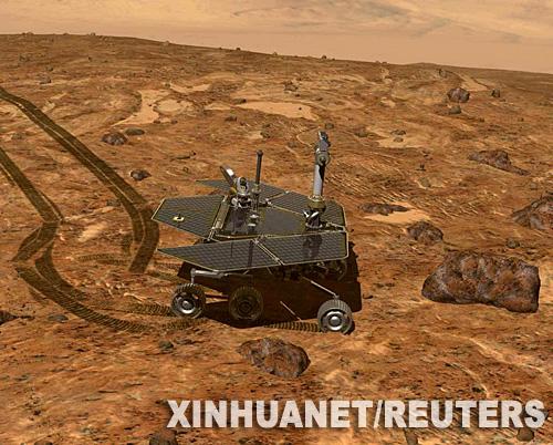 ����˫��̥���ǳ����ٶϵ���в(��ͼ)