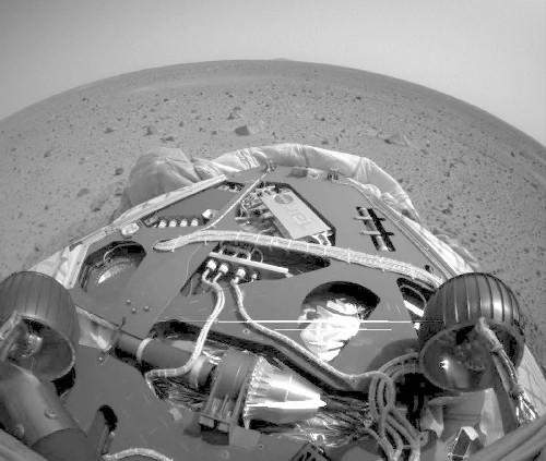 ����˫��̥���ǳ����ٶϵ���в(��ͼ)